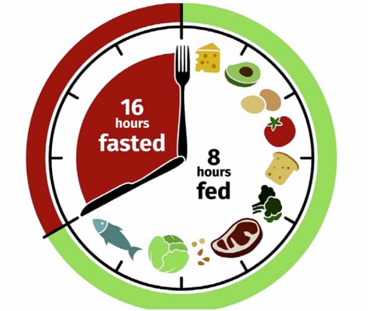 간헐적-단식-살-빠지고-건강해지는-최신-가이드
