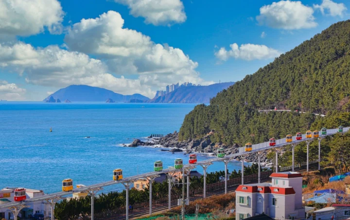 해운대-블루라인-파크-생방송-오늘아침