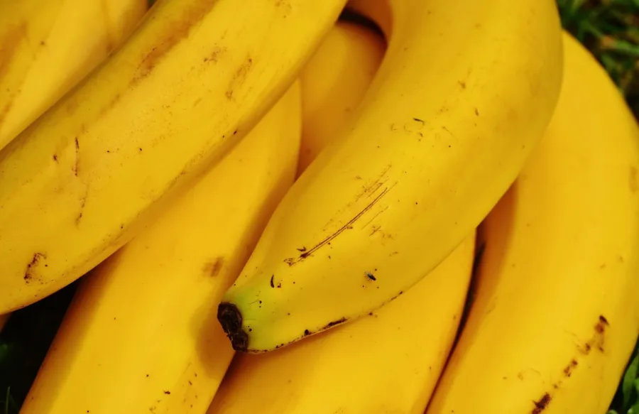 얼려 먹으면 맛있는 과일 종류 - 3