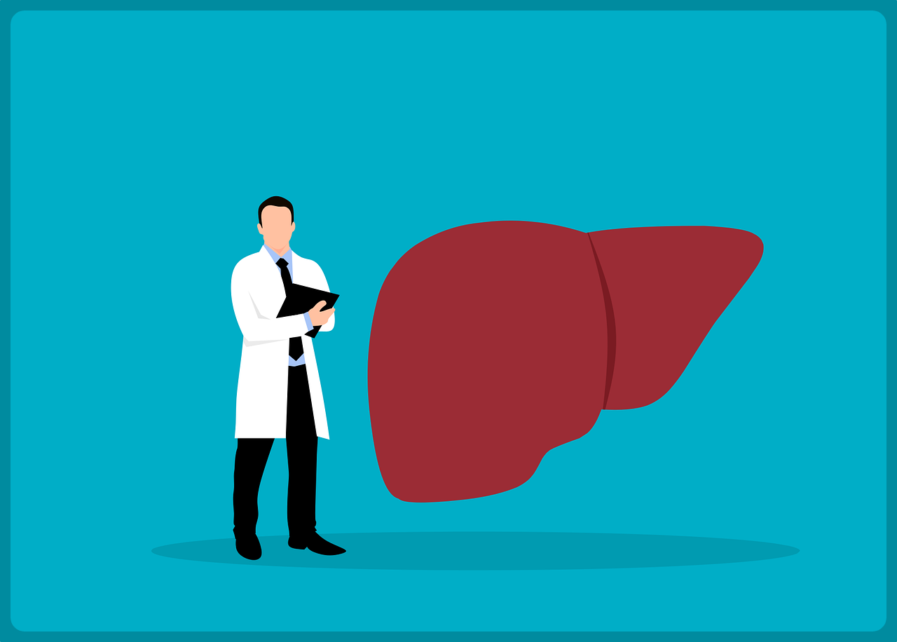 지방간 없애는 방법