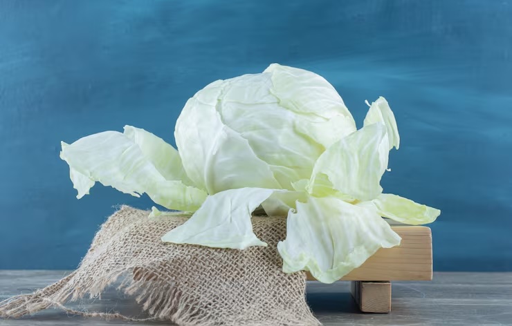 양배추즙의 효능과 복용방법