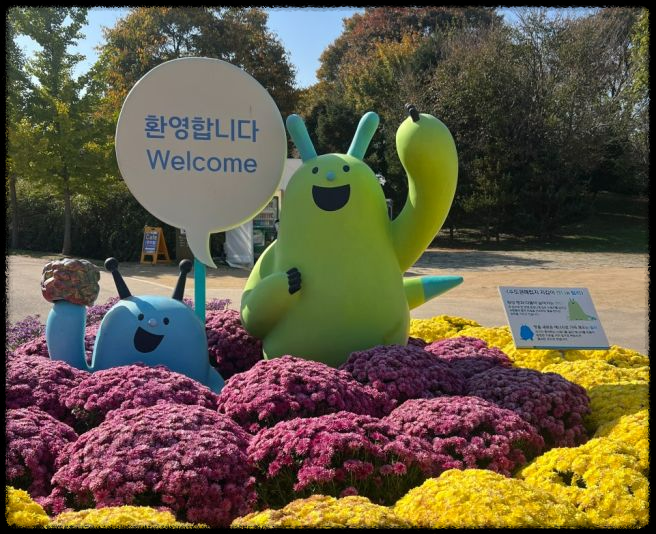 2024 드림파크 국화축제: 인천의 가을 대표 꽃 축제