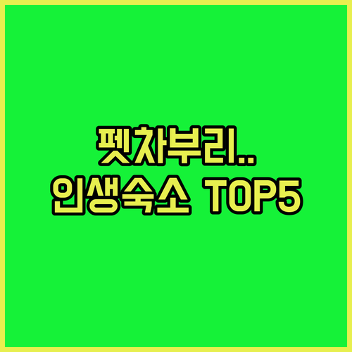 방콕 근교 펫차부리 여행 인생 숙소 ..