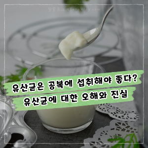 유산균은 공복에 섭취해야 좋다? 유산균에 대한 오해와 진실