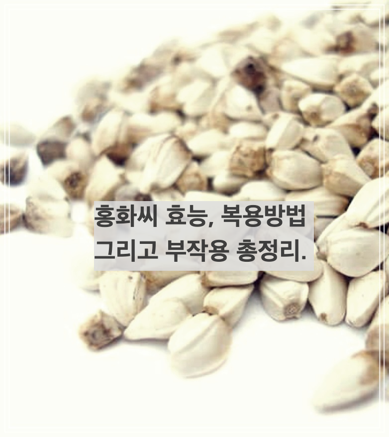홍화씨 효능&#44; 복용방법 그리고 부작용 총정리.