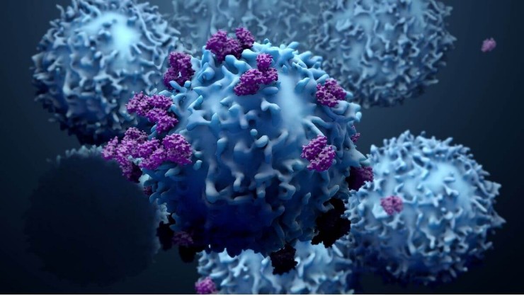 ์ ํ
์ผ์ค ํ๋ง์ํฐ์ปฌ FDA๊ฐ ์์ ๋
ธ์ํ ์ฐ๊ตฌ์ ๋ํ ๋ถ๋ถ์ ์์ ๋ณด๋ฅ ํด์ ๋ฐํ