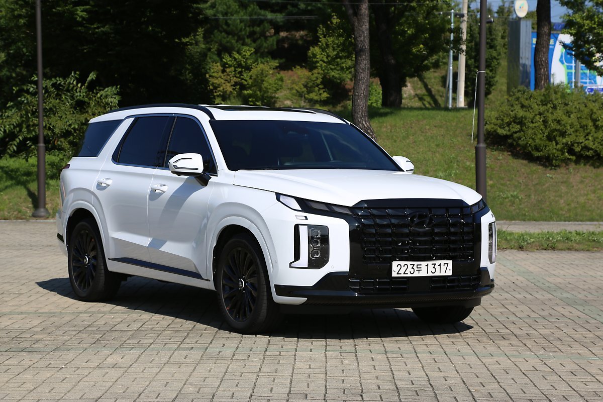 팰리세이드 블랙에디션