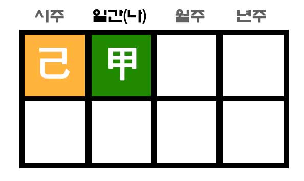 갑기합 사주