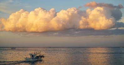 제주도 렌트카 비교사이트