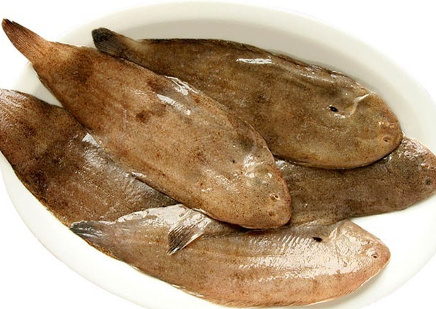 서해안의 별미, 박대: 생김새는 투박해도 맛은 고급진 이유