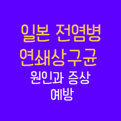 일본 전염병- STSS- 연쇄상구균 감염병- 제목-인포그래픽