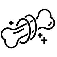 뼈 건강 증진 사진