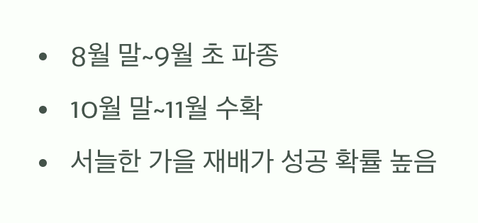 씨앗 뿌리기&amp;#44; 언제가 가장 좋을까?
