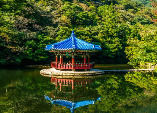 우화정