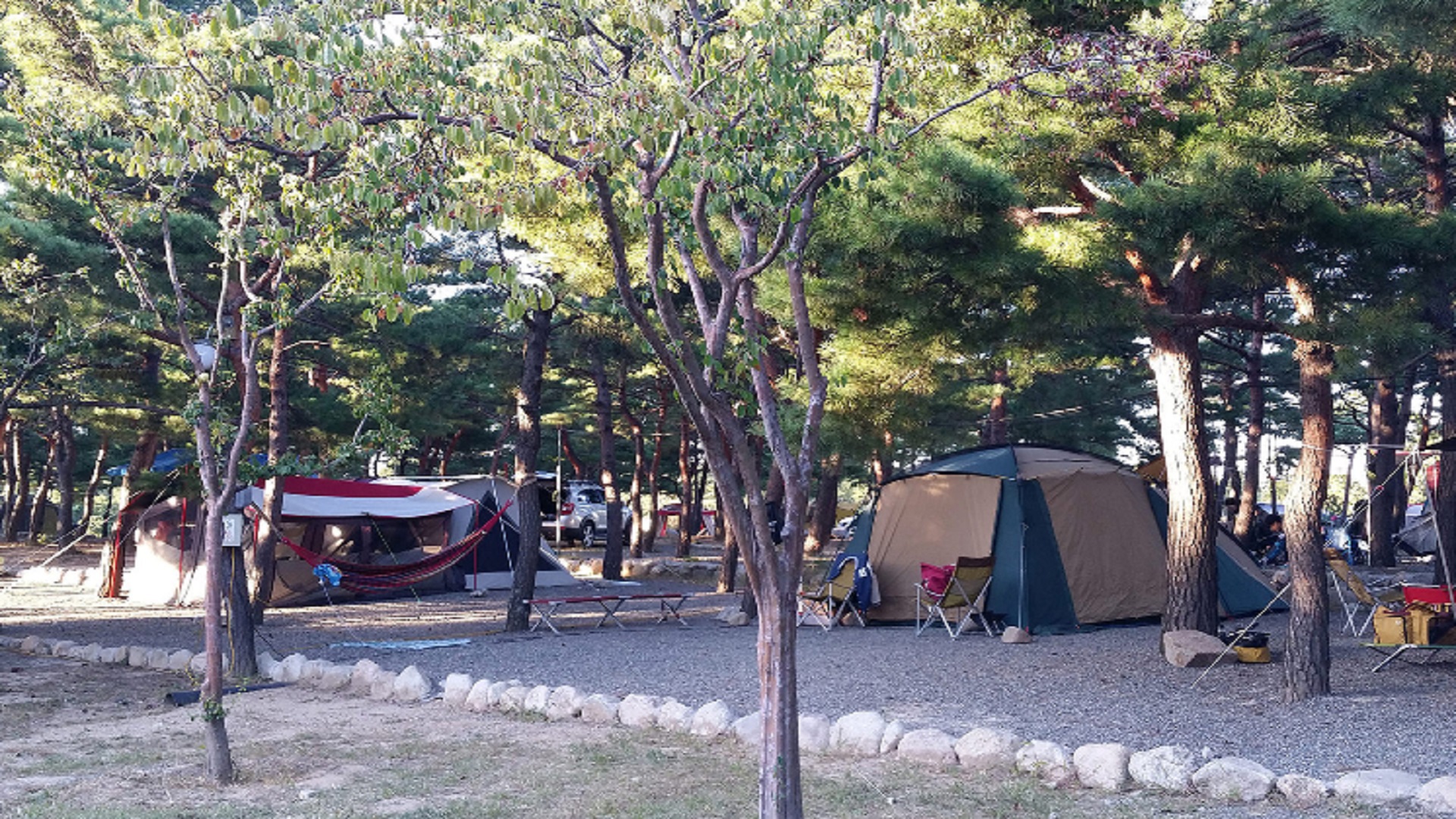 양양 솔밭 야영장 바로가기