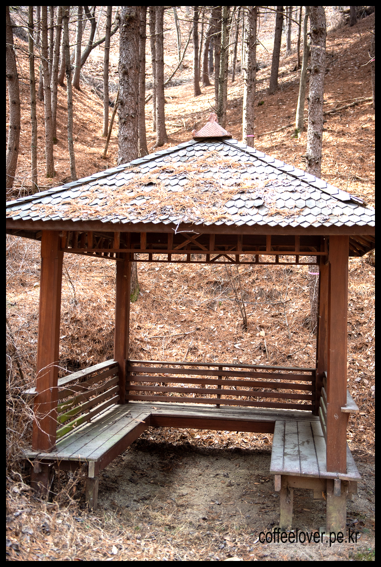 이천여행 아이와 가볼만한곳 덕평공룡수목원