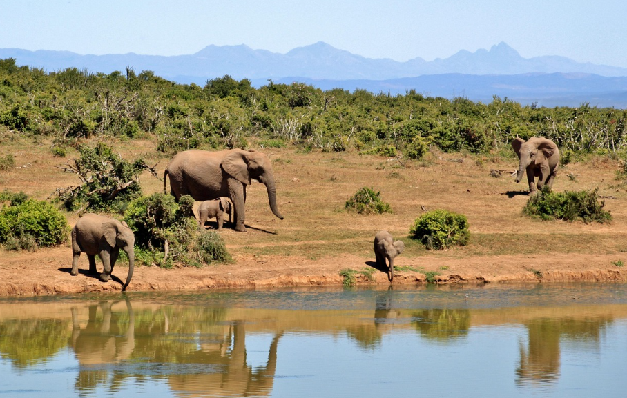 아프리카 대륙의 재생에너지 잠재력