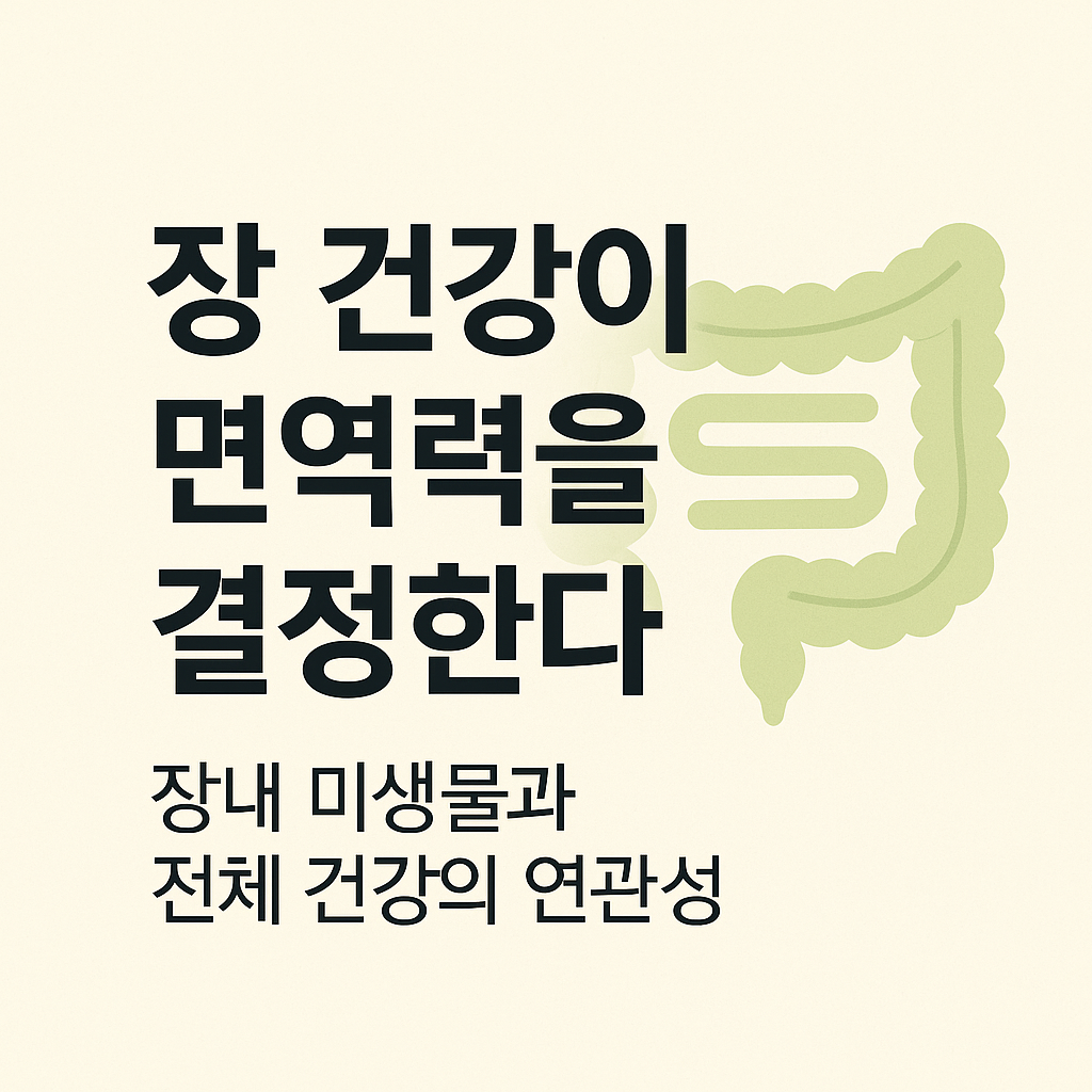 장 건강이 면역력을 결정한다: 장내 미생물과 전체 건강의 연관성