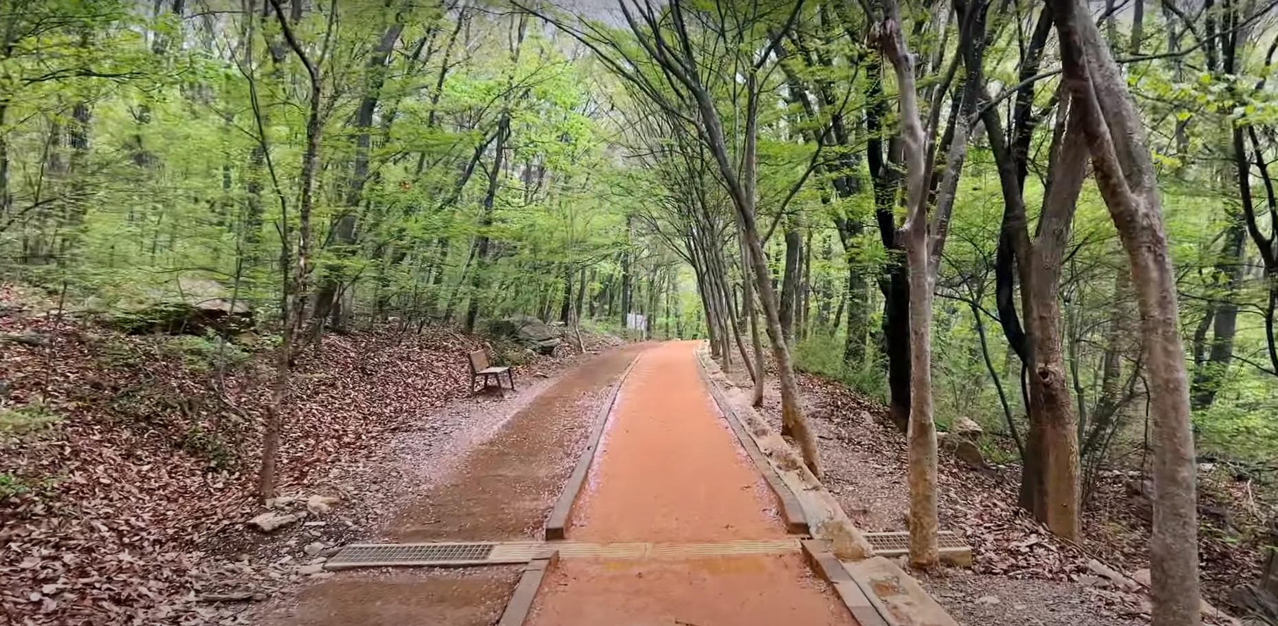 맨발 걷기 좋은길