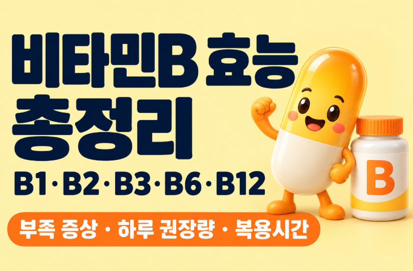 비타민B 효능 총정리｜B1&middot;B2&middot;B3&middot;B6&middot;B12 차이&middot;부족 증상&middot;하루 권장량&middot;복용시간