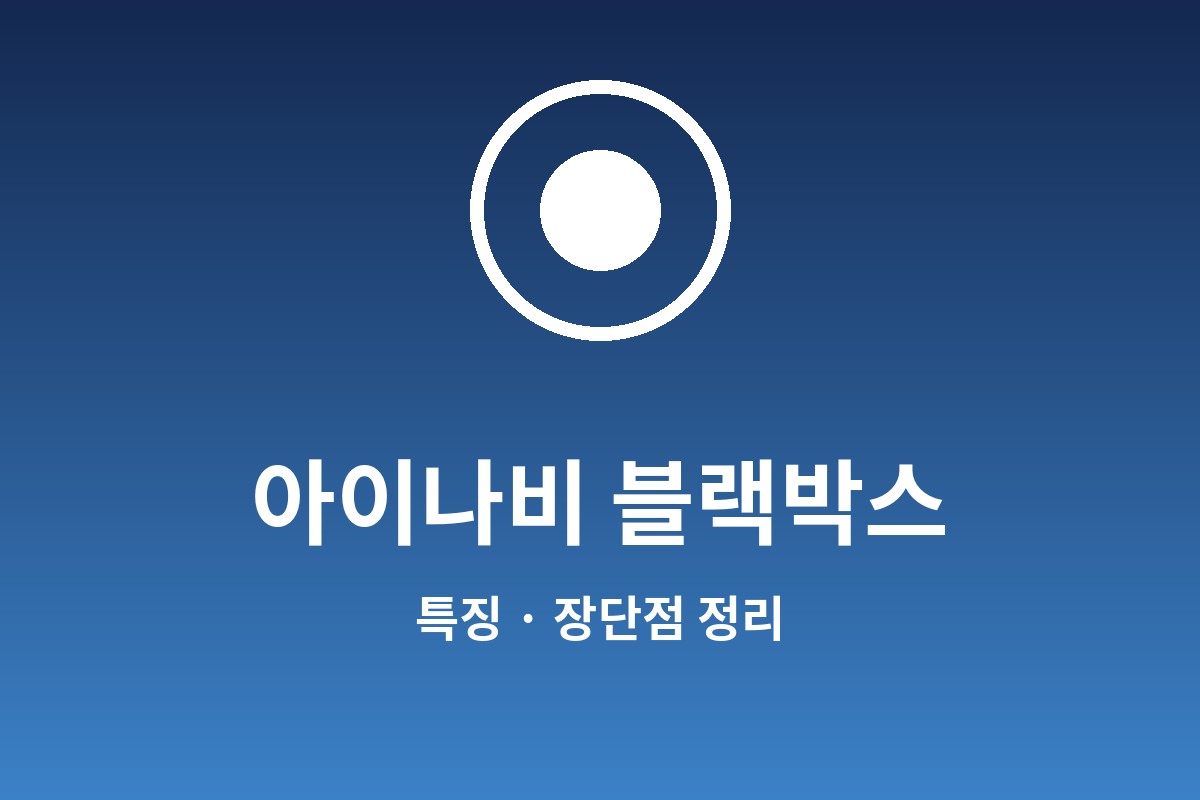 아이나비 블랙박스