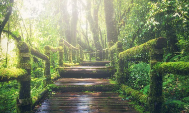 국립자연휴양림-예약방법-성수기