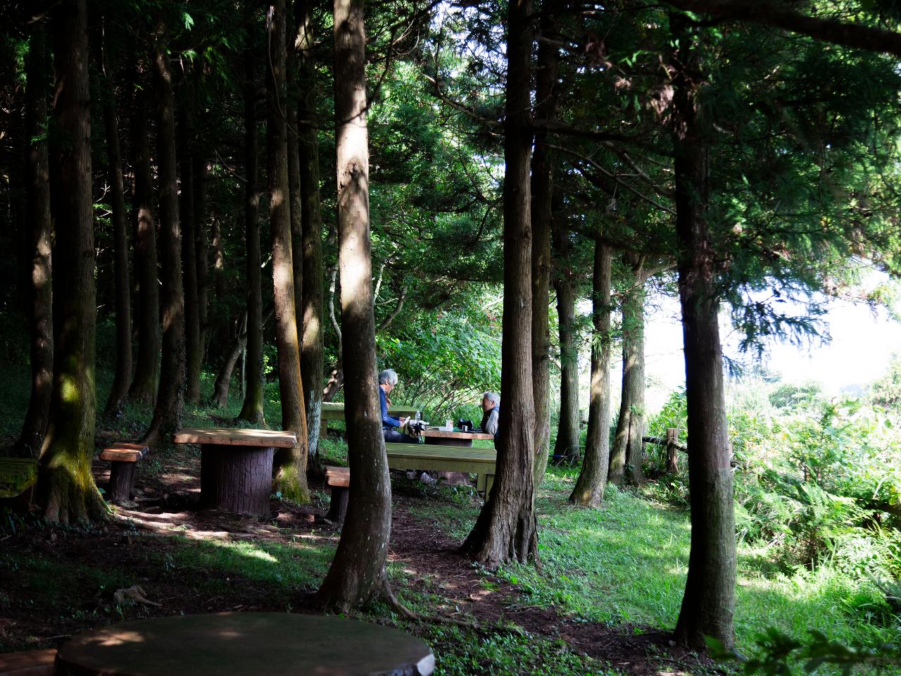 제주 아끈다랑쉬오름 조용한 억새 오름과 감성 트레킹 명소