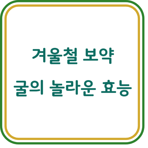 굴 효능