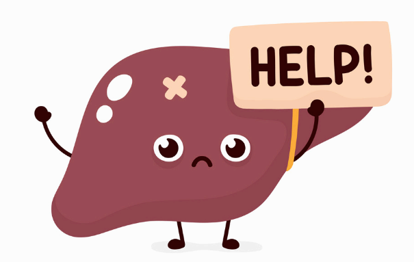 간 건강에 좋은 음식 5가지