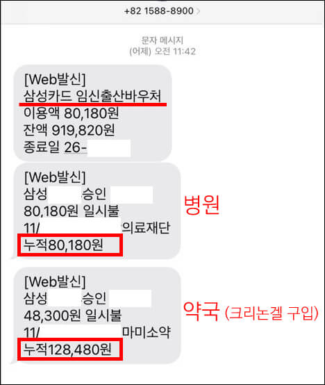 국민행복카드-바우처-카드-내역