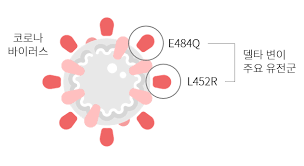 코로나 변이 관련 사진