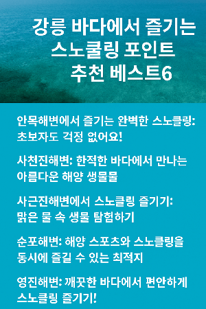 동해안 스노쿨링 포인트 Best 27곳
