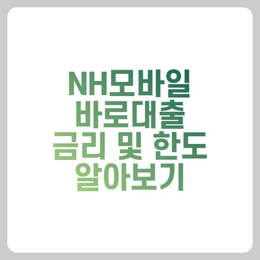 NH모바일 바로대출