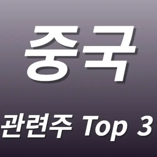 중국 관련주 수혜주