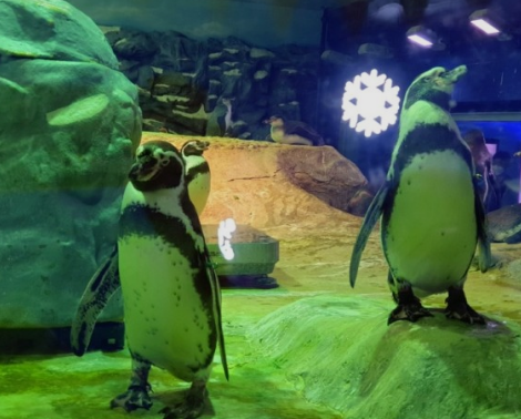 롯데월드 아쿠아리움