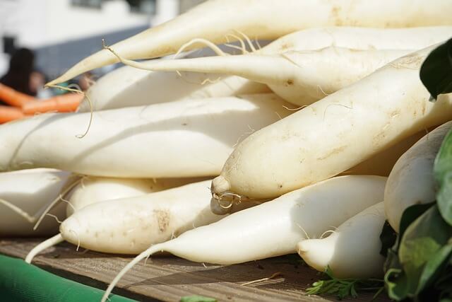 나박김치 맛있게 담그는법 황금레시피