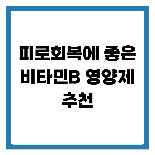 피로회복에 좋은비타민B 영양제 추천