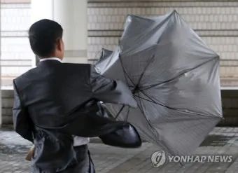 우산 곰팡이 건조 방법과 보관 팁 방습제 활용_24