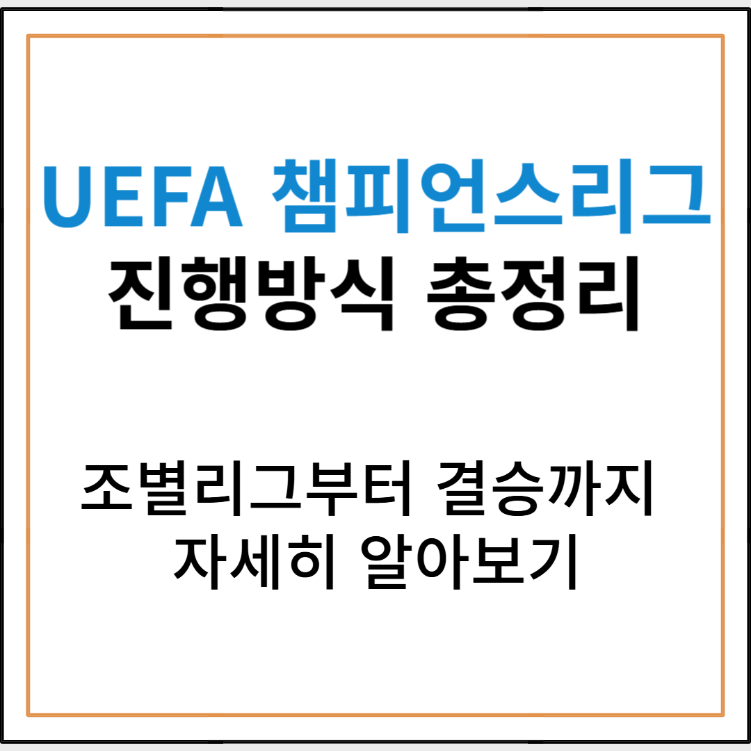 UEFA 챔피언스리그 진행 방식 총정리: 조별리그부터 결승까지 한눈에 보기 (+역대 우승팀)