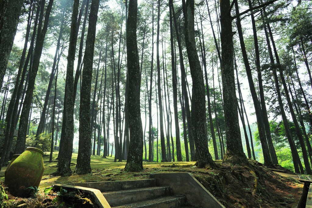 화담숲 예약방법! 실수 없이 완벽하게 예약하는 법