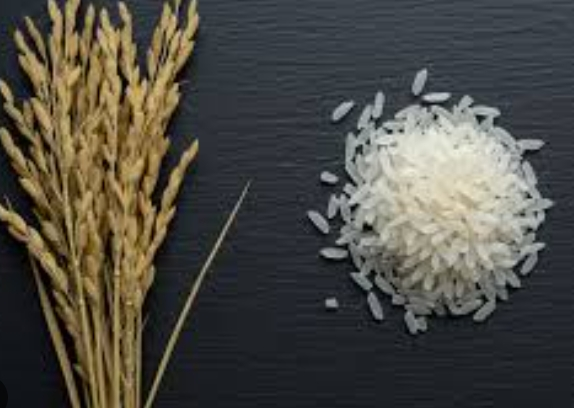 ๋ฐ๋๋์ ํจ๋ฅ๊ณผ ๊ฐ๊ฒฉ ์ด์ ๋ฆฌ, ์ด๋ ๊ฒ ๋จน์ผ๋ฉด ๊ฑด๊ฐ ํจ๊ณผ๊ฐ ๋ฌ๋ผ์ง๋๋ค