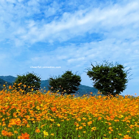 여주 가볼만한곳 베스트10