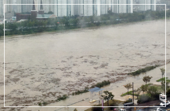 3년 전 태풍 하이선 피해상황