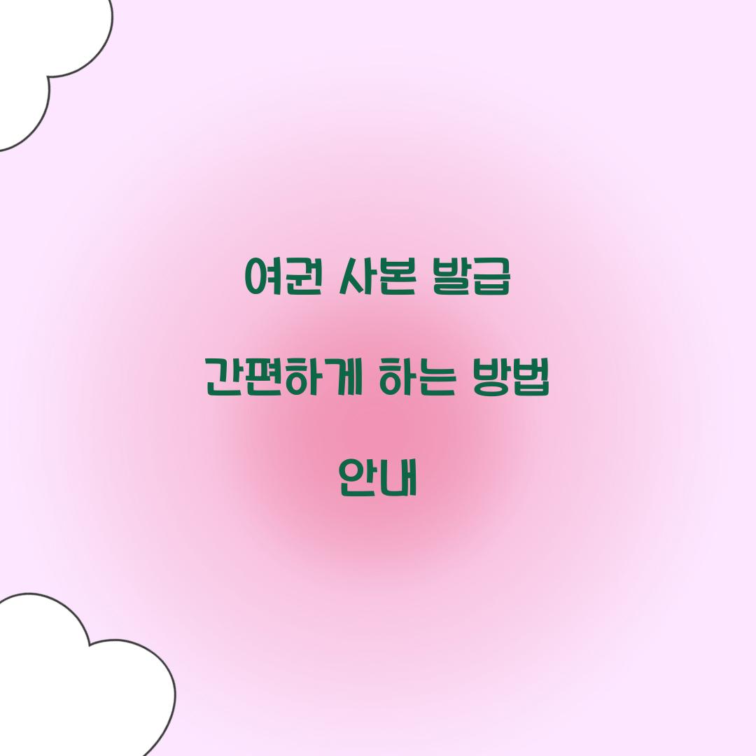 여권 사본 발급