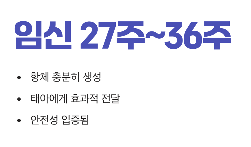가장 안전한 황금 타이밍