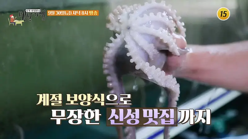 식객 허영만 백반기행 170회 백진희 편 신안 갯벌 낙지 뻘낙지 소고기 낙지 탕탕, 연포탕 전라도 광주 맛집 소개
