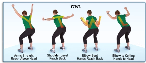 YTWL운동