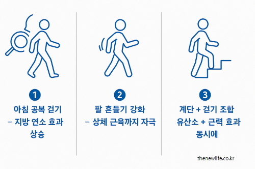 Three illustrated walking tips: fasted morning walk for fat burning, active arm swing for upper body engagement, and stair-walking combo for cardio and strength.-세 가지 걷기 팁을 나타낸 일러스트 – 공복 걷기(지방 연소), 팔 흔들기(상체 자극), 계단 걷기 병행(유산소+근력)