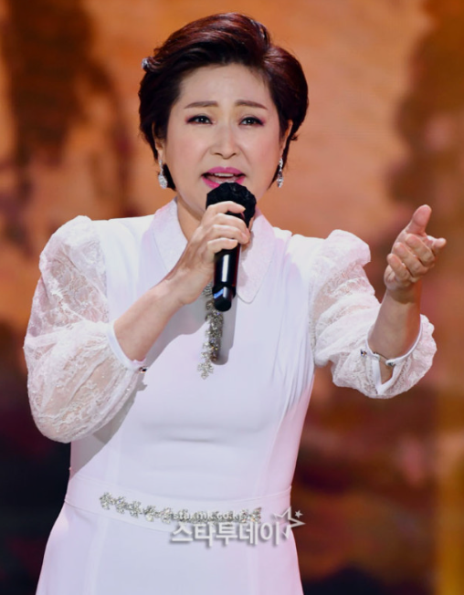 가수 김용임 프로필 사진│트로트 여왕 김용임의 무대 모습