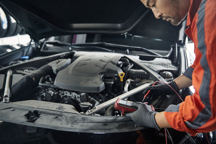 자동차 정기검사